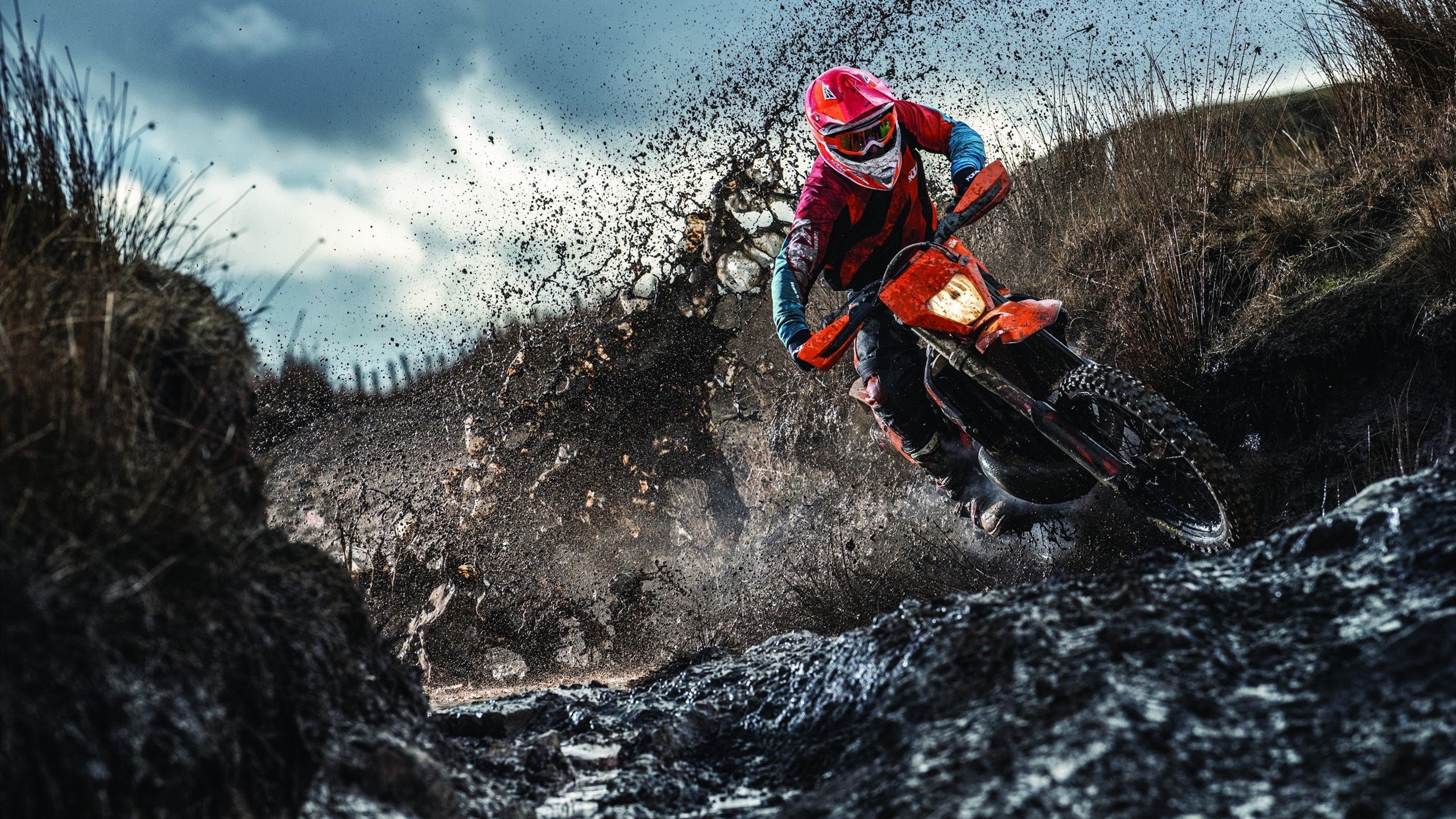 城市绿道骑行嘉年华，享受慢节奏的都市运动氛围，绿道骑行驿站